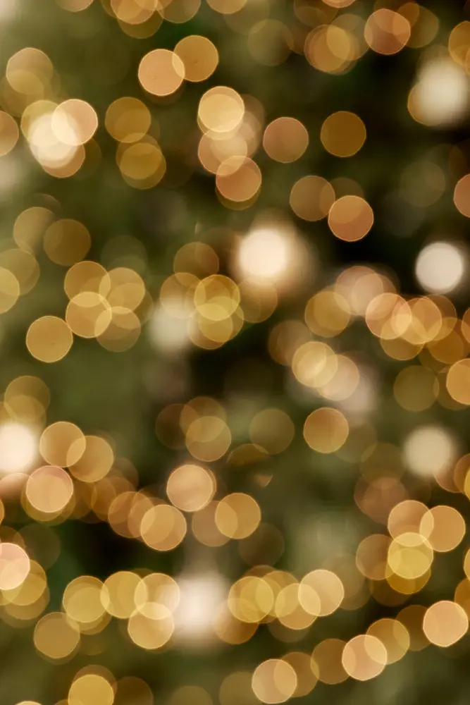 밝음심리연구소 전문가